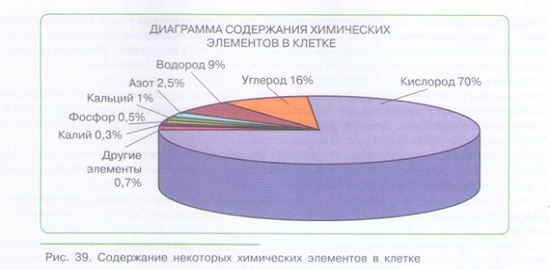 ХИМИЧЕСКИЙ СОСТАВ ОРГАНИЗМА